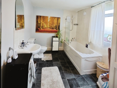 Picture 8